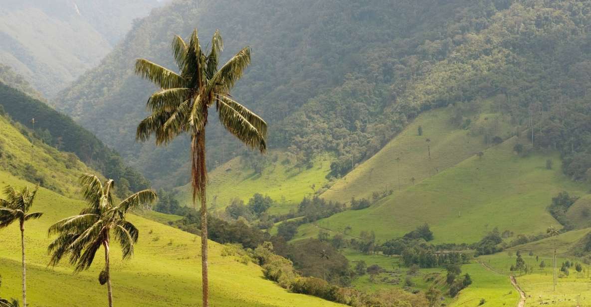 Punta Cana: Anamaya Mountains Walking Tour With Tasting