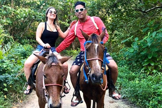 Punta Cana Beach Horseback Riding