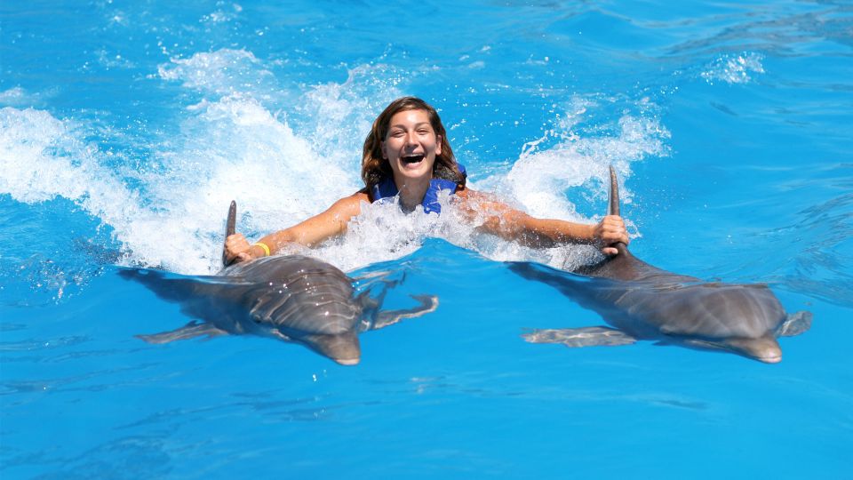 Punta Cana: Dolphin Discovery Swims and Encounters - Swim and Play With Dolphins