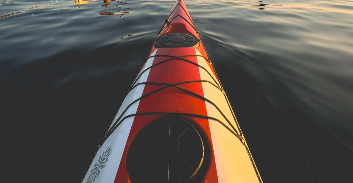 Purpose Paddling Midnight Kayak Tour