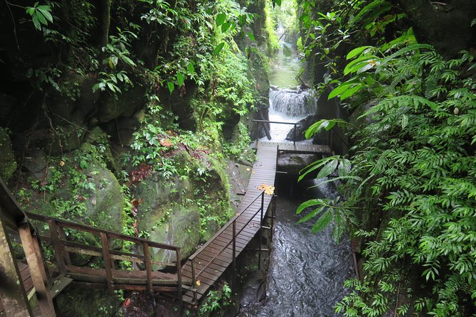 Quad or Buggy Tour With Canyon Tubing Adventure in Bali