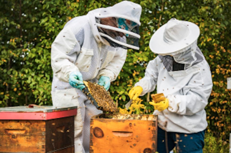 Quebec City: Honey and Distillery Tour With Tasting - Unique Urban Farm in Quebec City