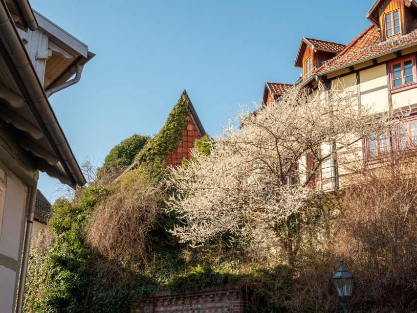 Quedlinburg: Guided City Highlights Walking Tour - Overview of the Walking Tour