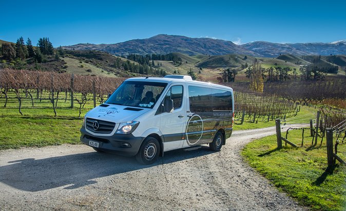 Queenstown Classic Wine Tour: 3 Vineyards, Caves and Cheeseboard