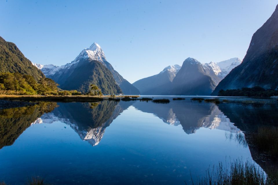 Queenstown: Milford Sound Cruise & Helicopter Alpine Tour