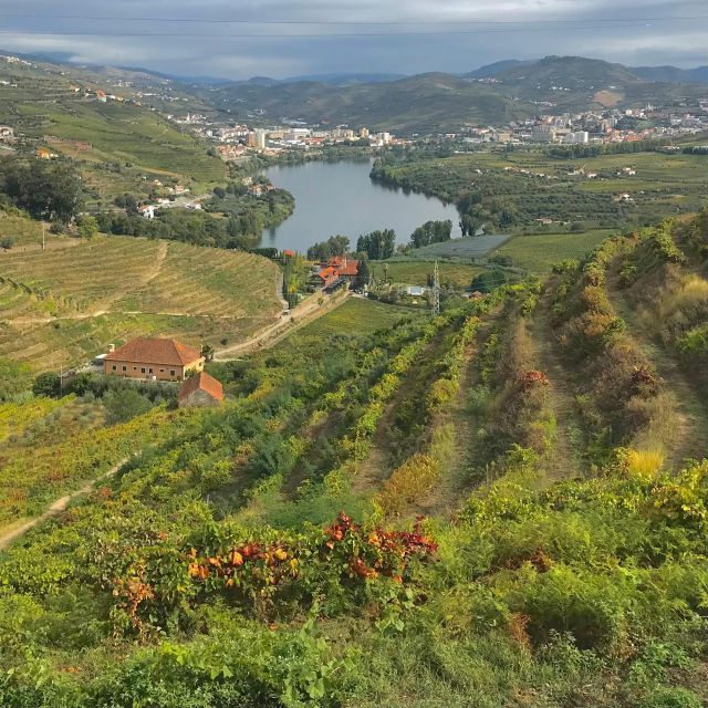 Quinta Da Pacheca: Walking With a Full Lunch and Wine Tasting