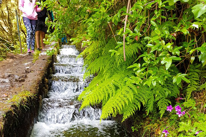 Rabaçal 25 Fontes Levada Walk in Small Groups - Highlights of the Hike