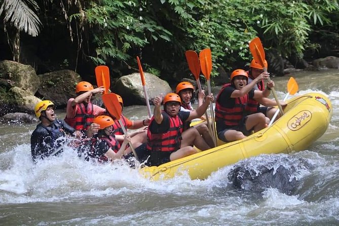 Rafting Swing Monkey Forest And Waterfall Tour All Inclusive