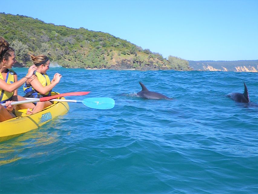 Rainbow Beach: Kayaking With Dolphins and Beach 4WD Tour