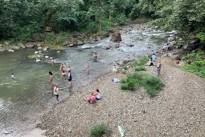 Rainforest River Nature Walk Adventure and Luquillo Beach