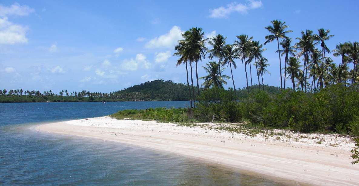 Recife: Tour to Carneiros With Catamaran Ride