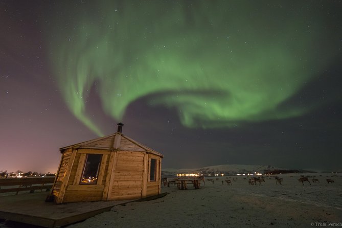 Reindeer Camp Dinner With Chance of Northern Lights in Tromso - Overview of the Experience