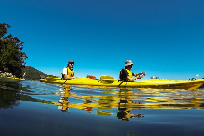 Remote Marine Reserve – Guided Kayaking – New Zealand