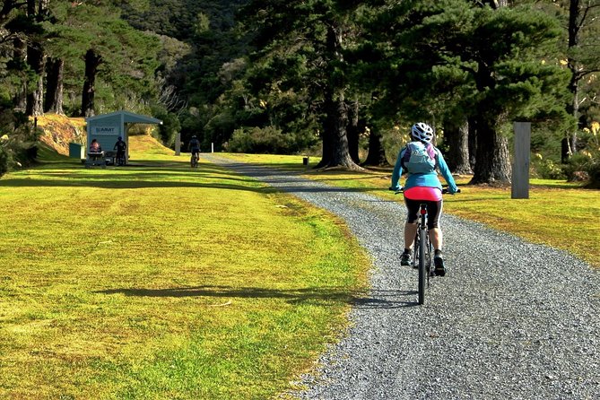 Remutaka Rail Trail Explorer – Ebike Cruise Ship Shore Excursion