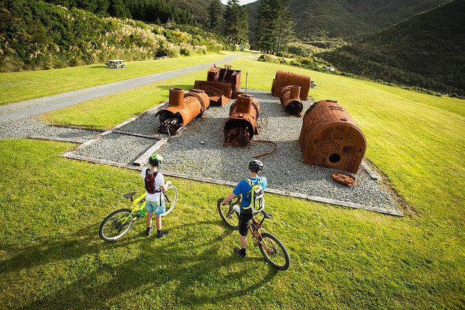 Remutaka Rail Trail Explorer – Ebike Cruise Ship Shore Excursion