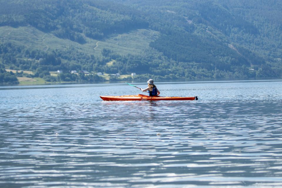 Rental - Sea Kayak - Overview of Rental Options