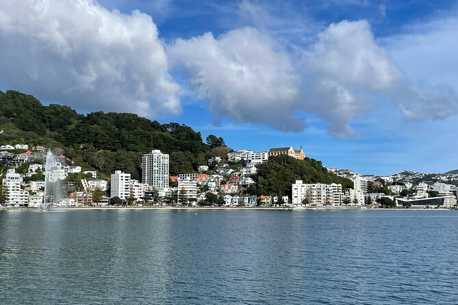 Return Ferry Trip to MāTiu/Somes Island