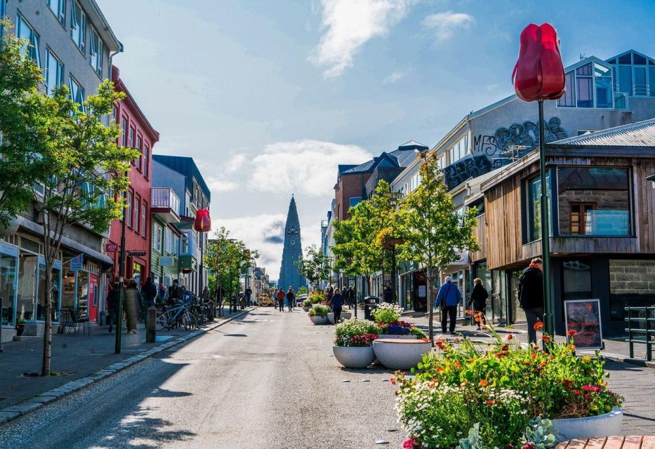 Reykjavik Private Walking Tour - Overview of the Walking Tour