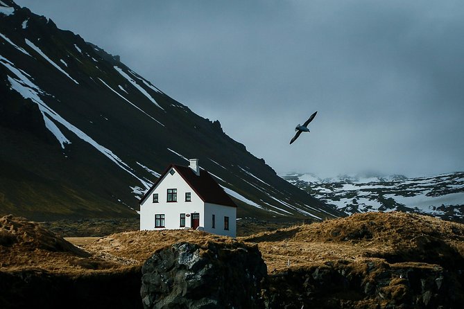 Reykjavik: Snaefellsnes National Park Small Group Trip