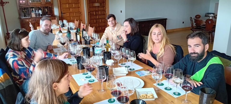 Ribera Del Duero: Wine Tour From Madrid – English or Spanish