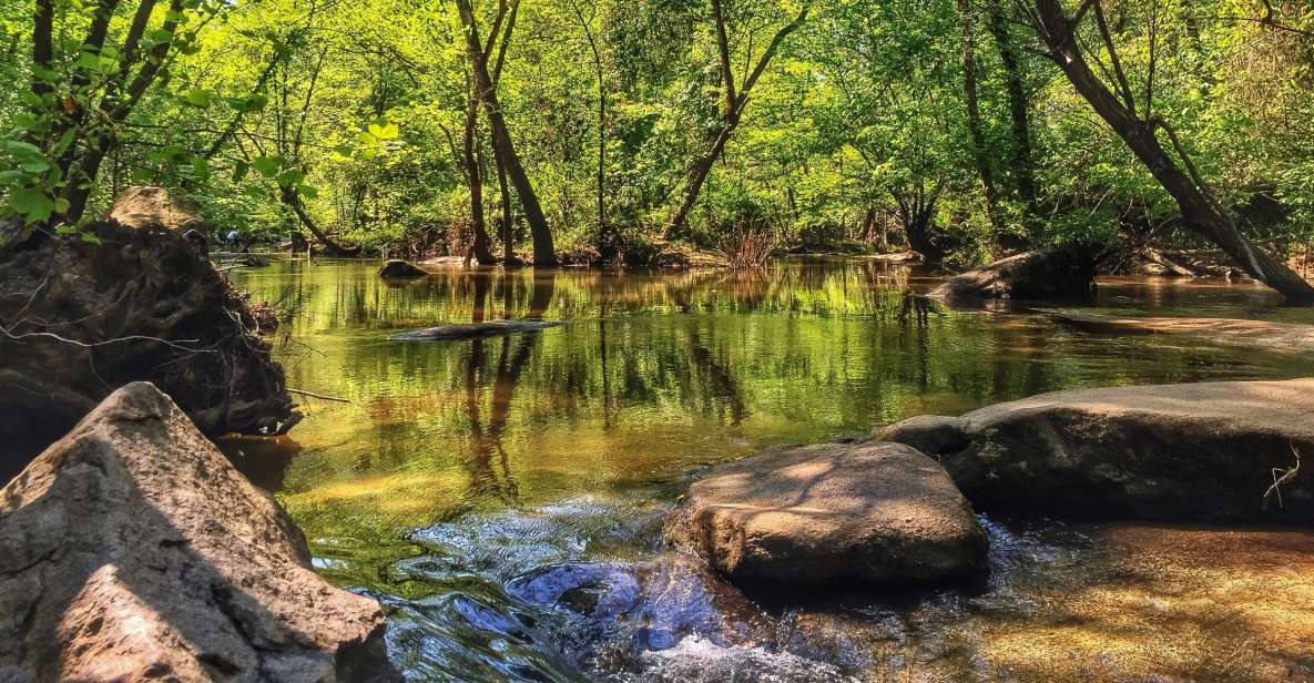 Richmond: Guided Hike in James River Park