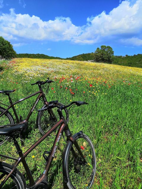 Riding to Alberobello and Countryside With E-Bike