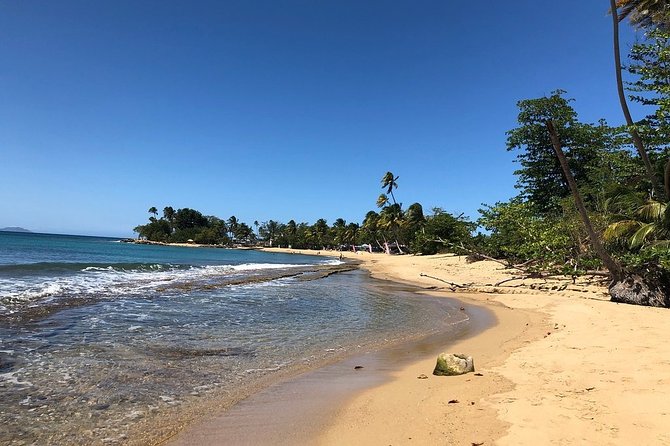 Rincon Snorkeling Adventure