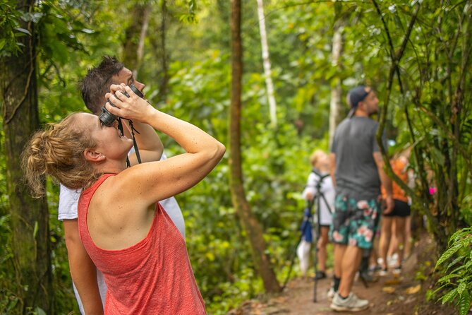 Rio Celeste Hike + Sloth Sanctuary + Coffee Tour From Guanacaste