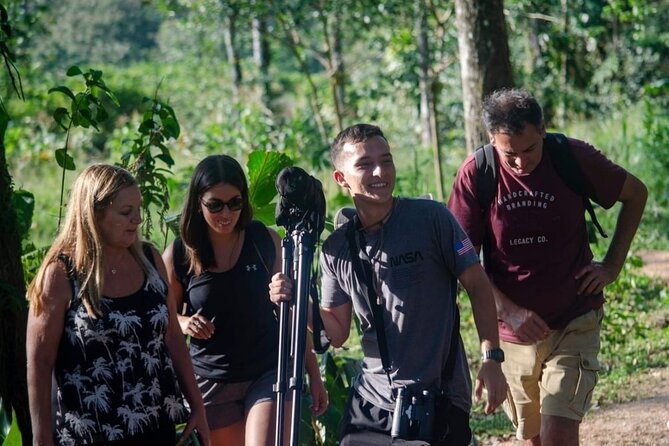Rio Celeste Waterfall at Tenorio Volcano and Sloth Watching Tour From San Jose