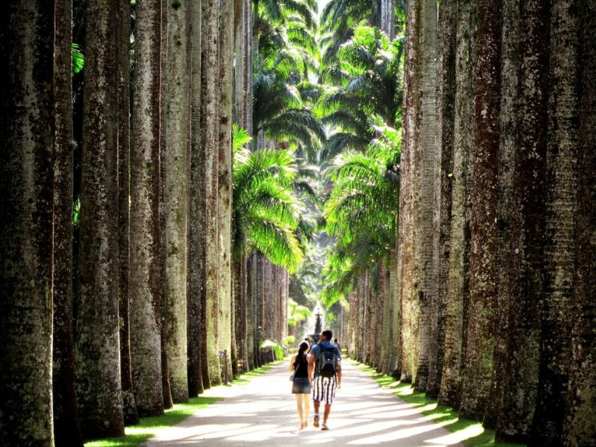 Rio De Janeiro: Botanical Garden Guided Tour & Parque Lage