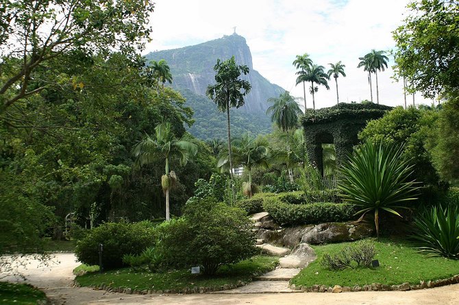 Rio De Janeiro Botanical Garden Tour