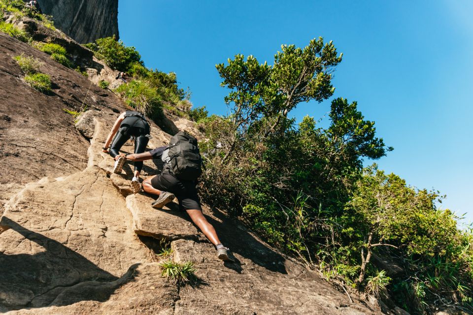 Rio De Janeiro: Pedra Da Gávea Guided Hike Tour