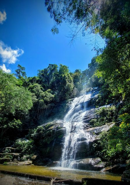 Rio De Janeiro: Tijuca Forest Challenge Hike Full-Day Trip