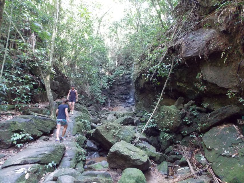 Rio: Tijuca Forest & Horto Waterfalls Circuit Tour