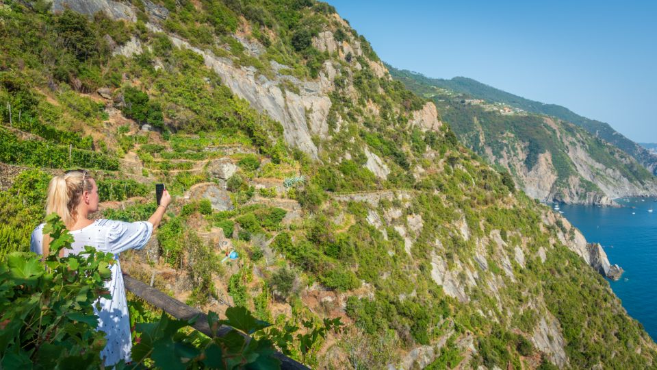 Riomaggiore: Vineyard & Wine Cellar Tour With Wine Tasting