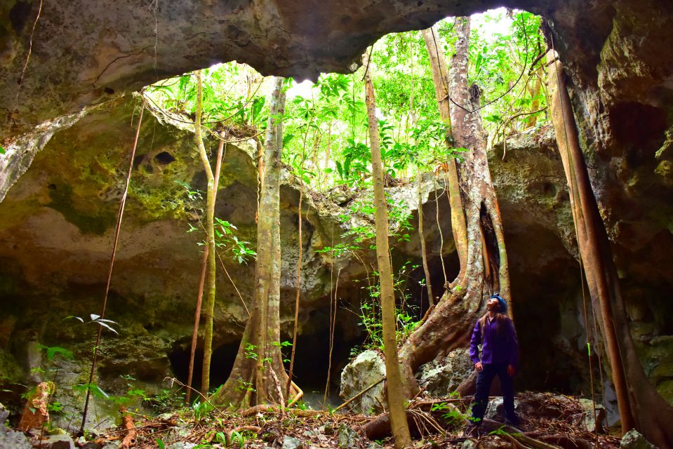 Riviera Maya: Rio Secreto Wild Tour With Lunch