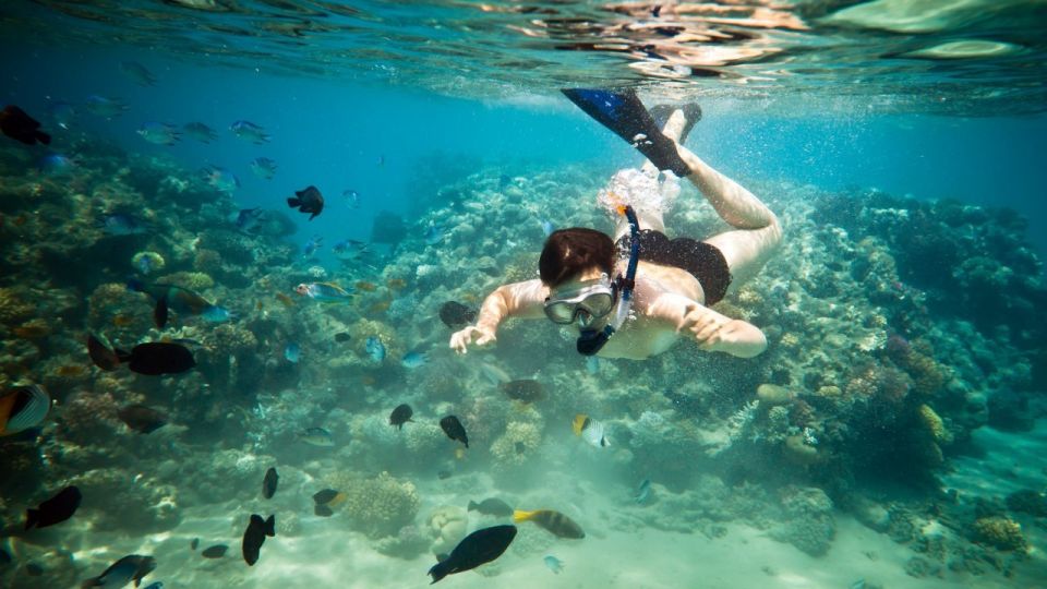 Riviera Maya: Two-Reef Snorkeling Experience