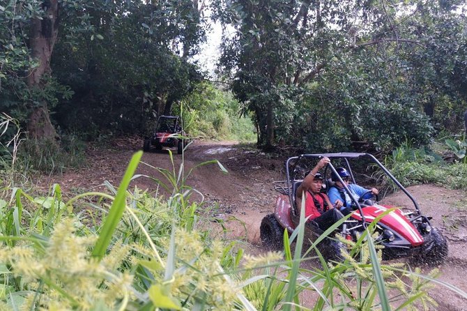 Roatan Eco-Safari: Dune BUGGY, Wildlife, History, Beach Adventure