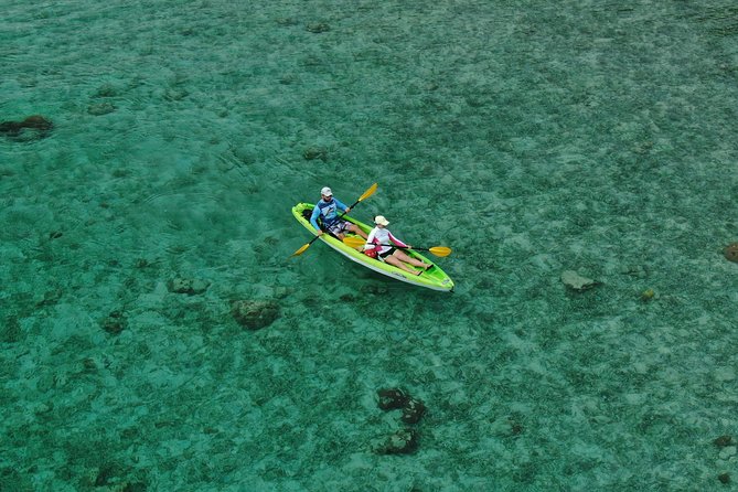 Roatan Shore Excursion: Kayak Harbor Adventure and Reef Snorkel - Included Activities and Equipment