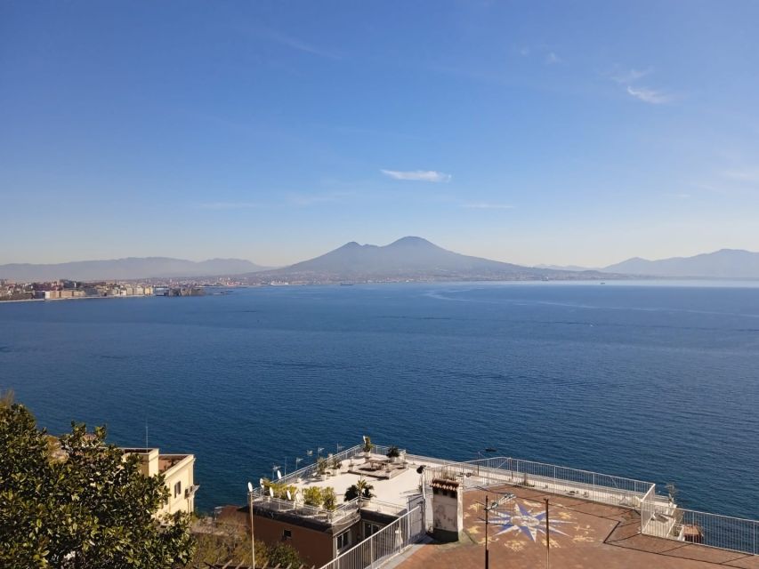 Rome: Pompeii and Naples Private Day Tour With Pizza Tasting - Tour Details