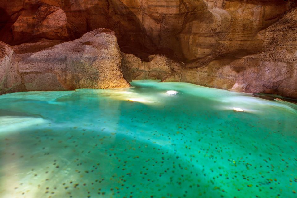 Rome: Trevi Fountain Underground Guided and Walk City Tour