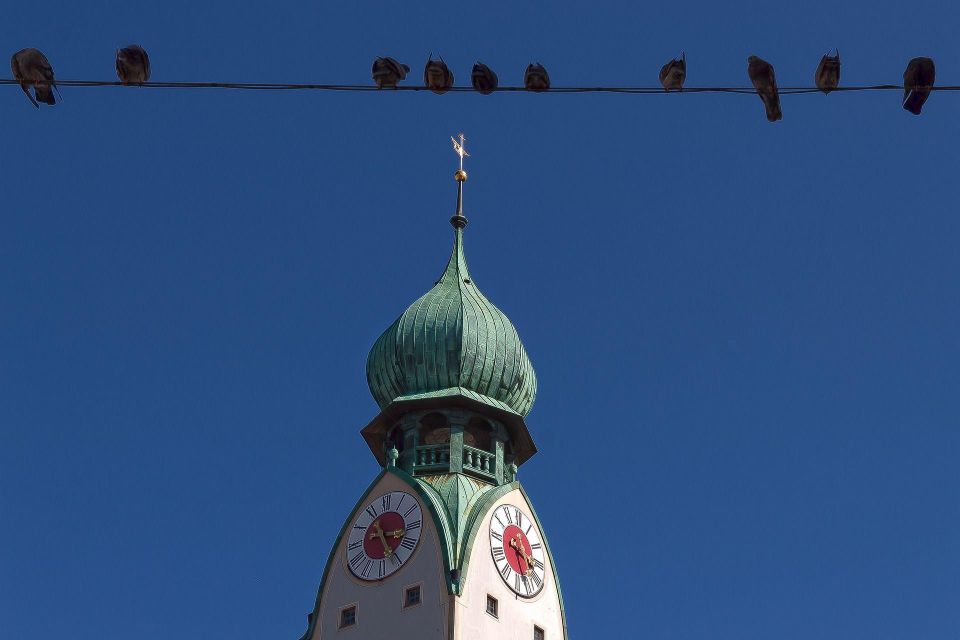 Rosenheim: Private Guided Walking Tour - Historical Significance of Rosenheim