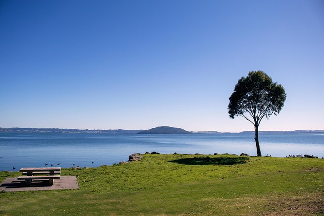 Rotorua Duck Boat Guided City and Lakes Tour