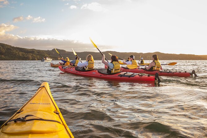 Rotorua: Evening Starlight Gourmet Kayak Tour Glowworms