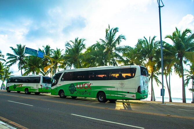 Round Trip Transfer Between Airport and Hotels in Maceió - Vehicle and Amenities