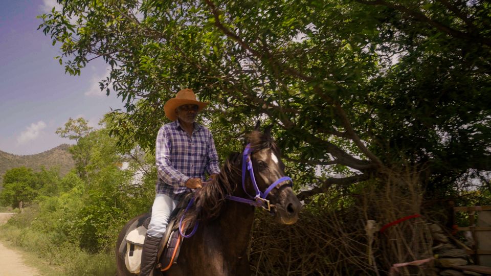 Rural Trail On Marwari Horseback At Private Ranch in 12Acres - Activity Overview