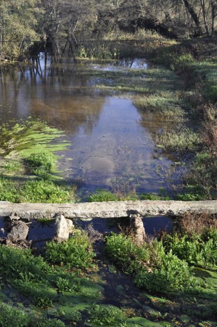 Sabugal Walking Tour: Stories and Charms of the Côa River - Overview of the Walking Tour