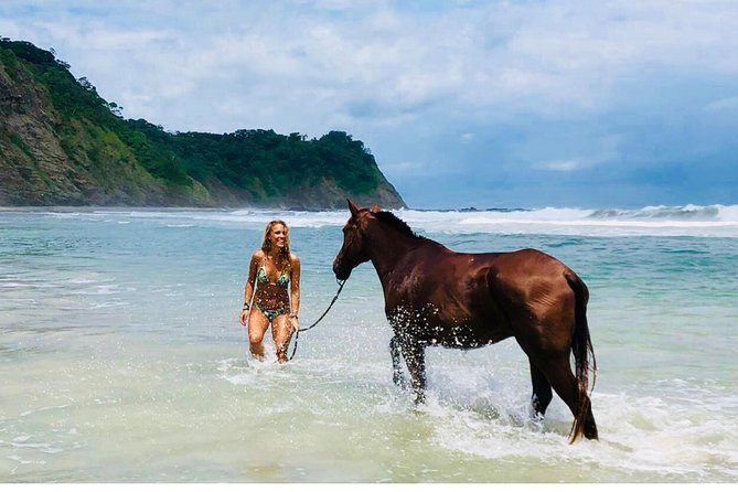 Safari & Barigona Beach on Horseback - Experience Highlights