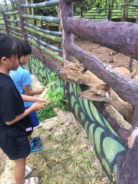 Safari Lagoi & Eco Farm Bintan