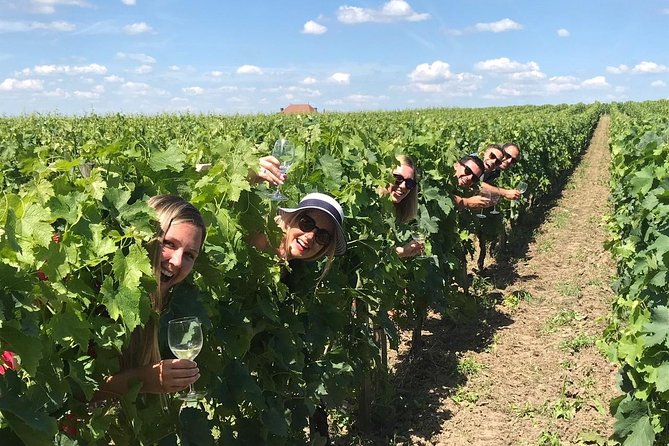 Saint-Emilion Winery Morning Tour With Local Guide